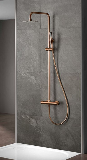 ANNINCIO MONZA ROSA SPAZZOLATO.JPG